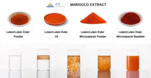 What is lutein from marigold flower