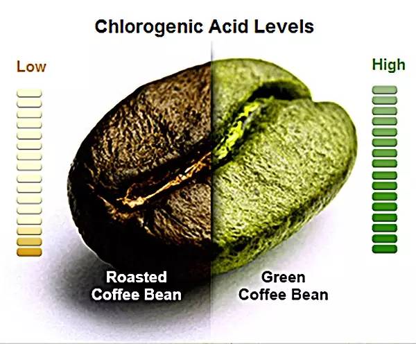 chlorogenic acid