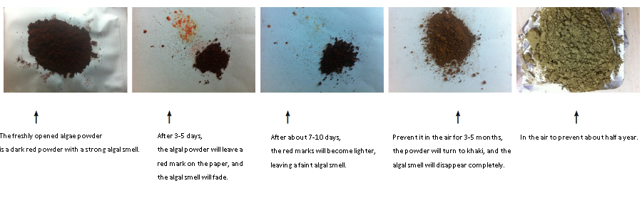 8.The oxidation process of Natural Astaxanthin powder