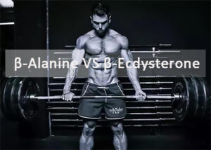 β-Alanine VS β-Ecdysterone